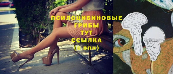 COCAINE Богородск
