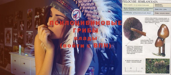 соль курить ск Богданович