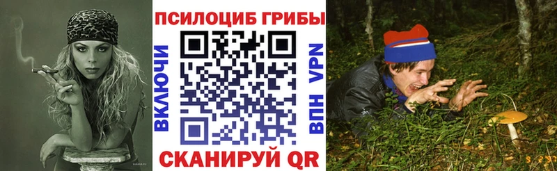 Галлюциногенные грибы мицелий  Ярцево 